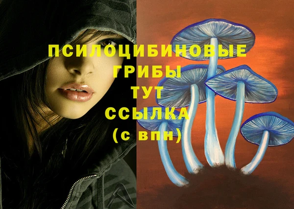 амфетамин Аркадак