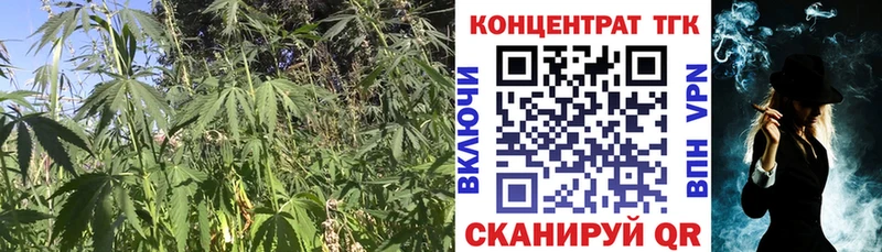 KRAKEN ONION  Саратов  Дистиллят ТГК гашишное масло 